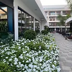 Luxury - In Courtyard * Trikomo